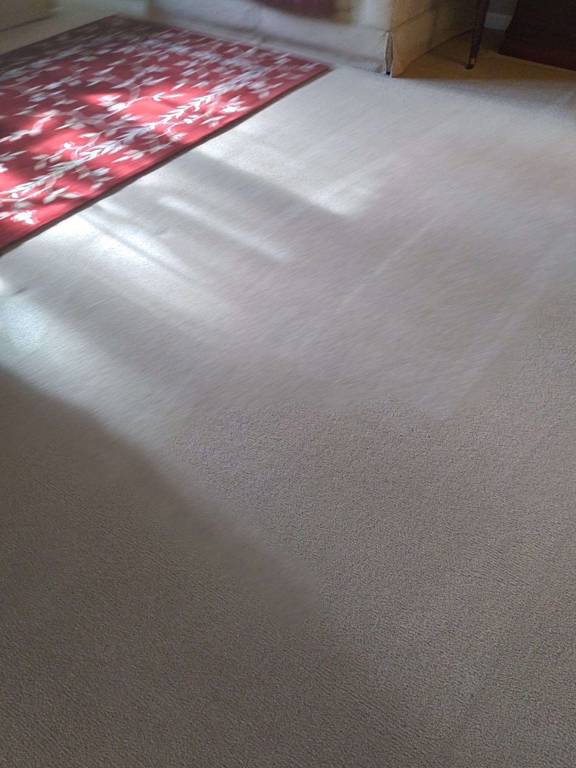 clean carpet in home