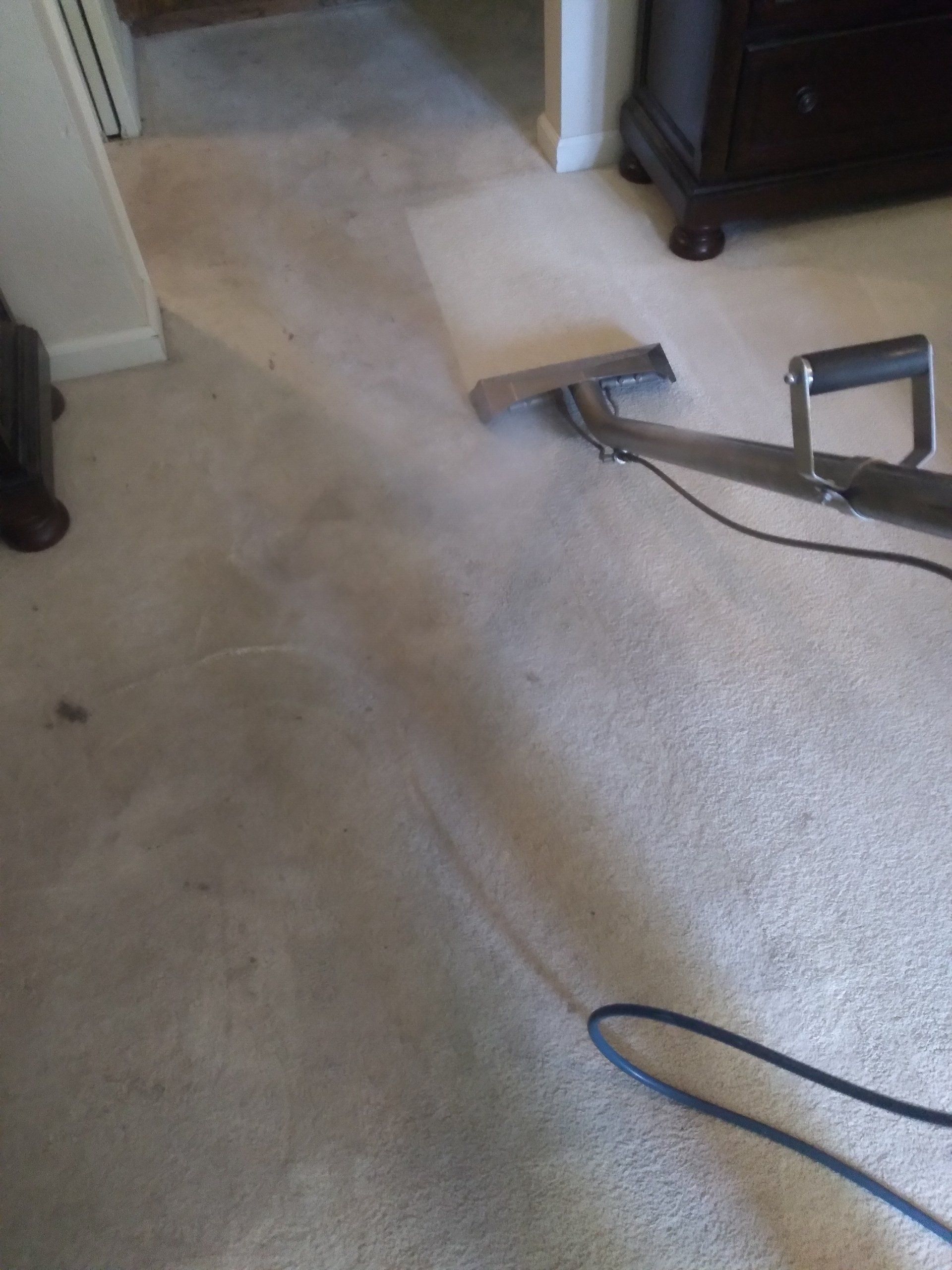 carpet cleaning in progress