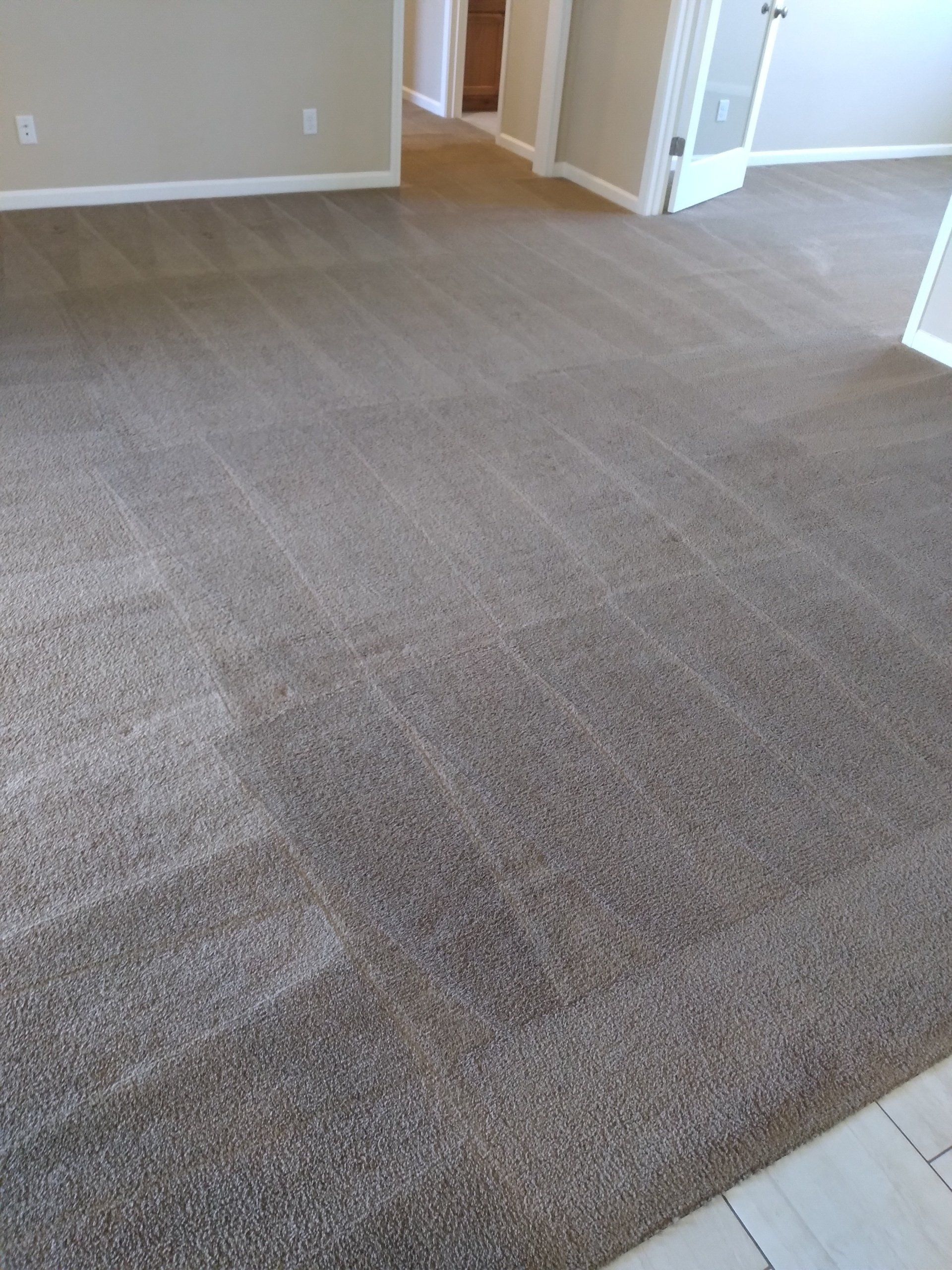after carpet cleaning in home