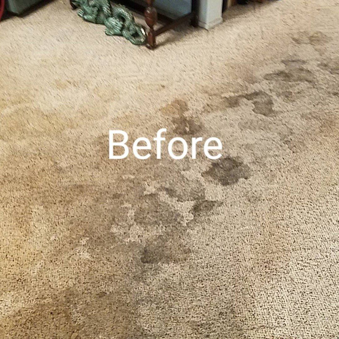 stained carpet before carpet cleaning