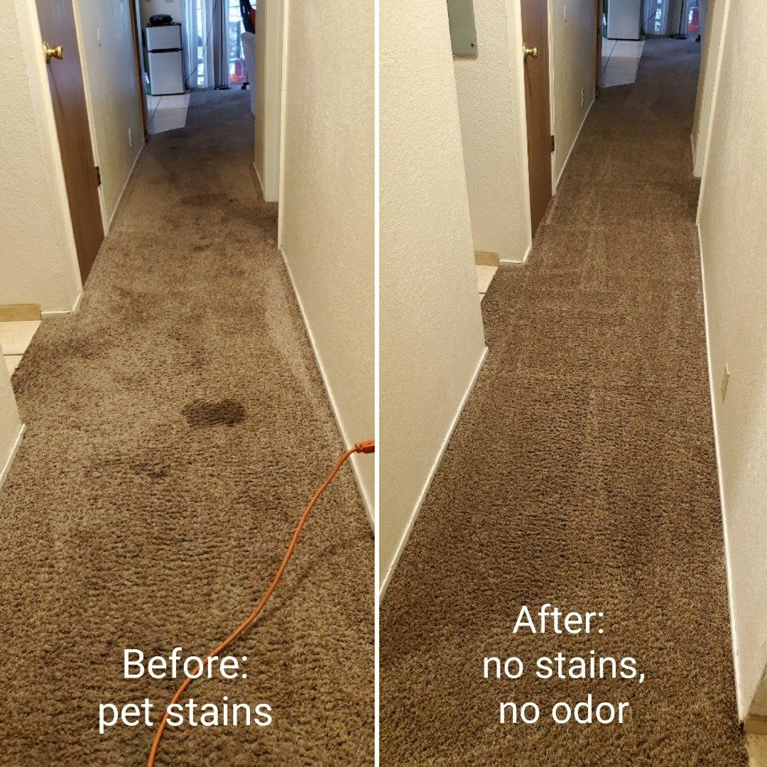 before and after carpet cleaning in hallway
