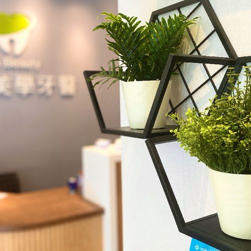Two potted plants are sitting on a shelf in a dental office.