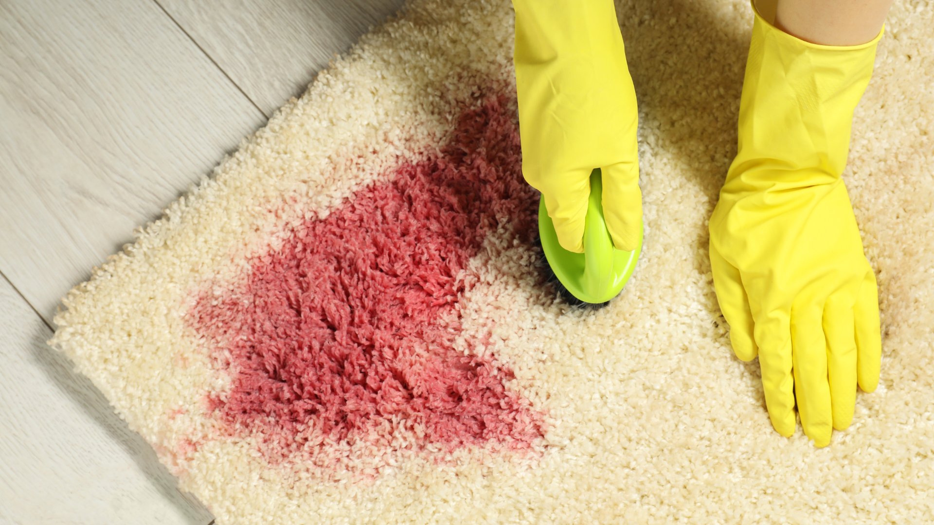 A person wearing yellow gloves is cleaning a carpet with a brush.