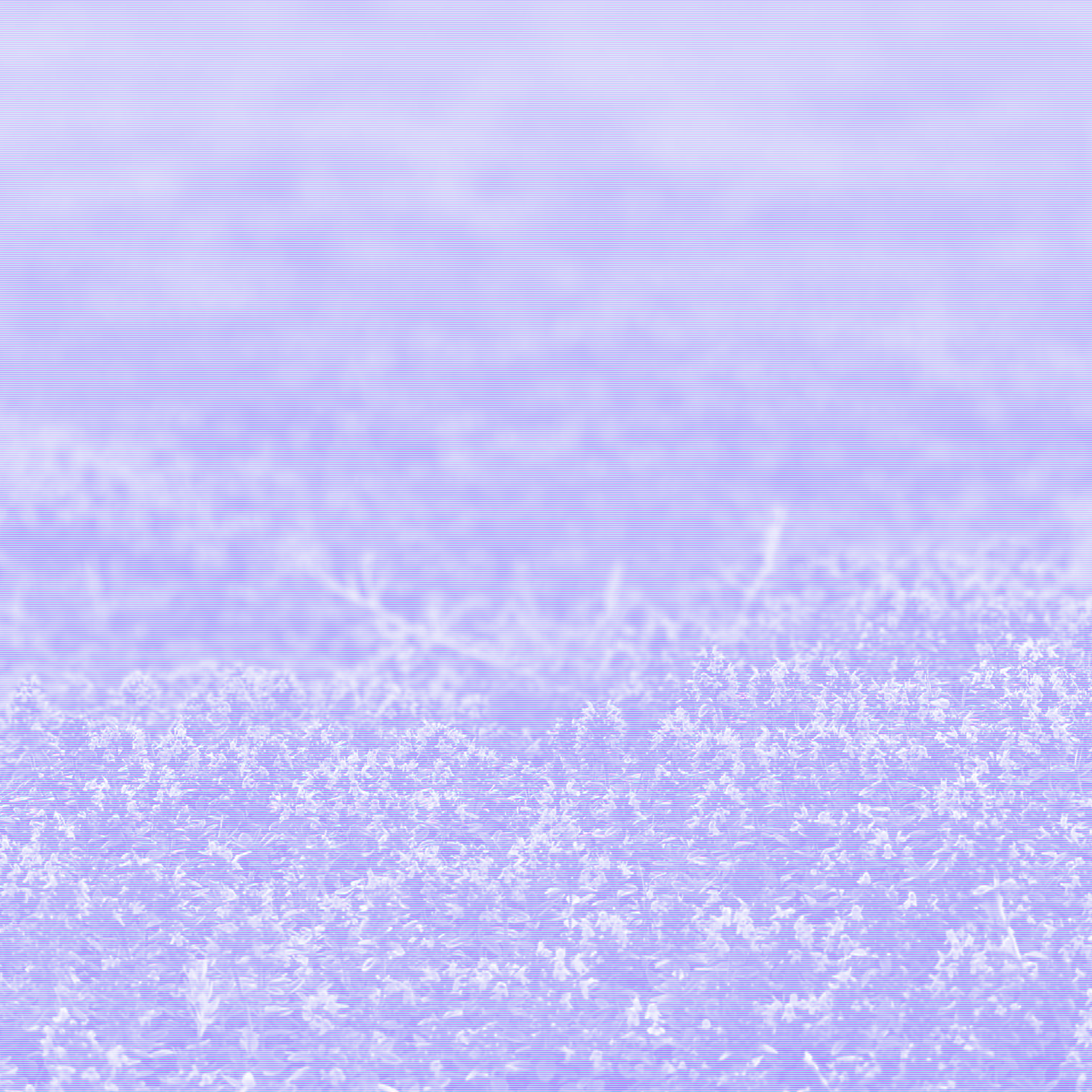 IN STORES JANUARY 16th 2026!!!