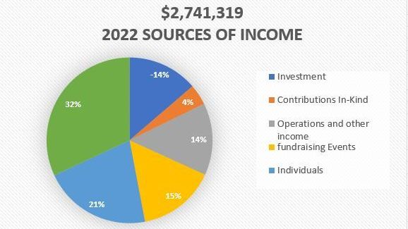 Pie chart showing Mona's 2022 sources of income: 