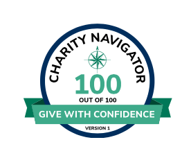 Charity Navigator, rating, 100/100, Mona Foundation