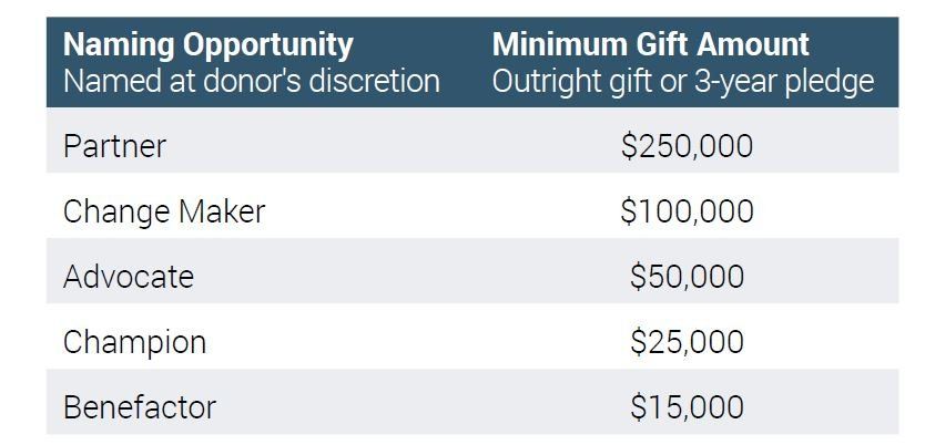 Endowment Naming Opportunities: 5 levels of partnership named at the donor's discretion. The minimum gift at each level must be an outright gift or 3-year pledge. For Partners, a $250,000 minimum is required. For Change Makers, $100,000 minimum is required. For Advocates, $50,000 minimum is required. For Champions, $25,000 minimum is required. For Benefactors, $15,000 minimum is required. 