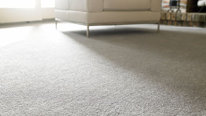 Carpet Floor - Hanover, MN - Hanover Flooring