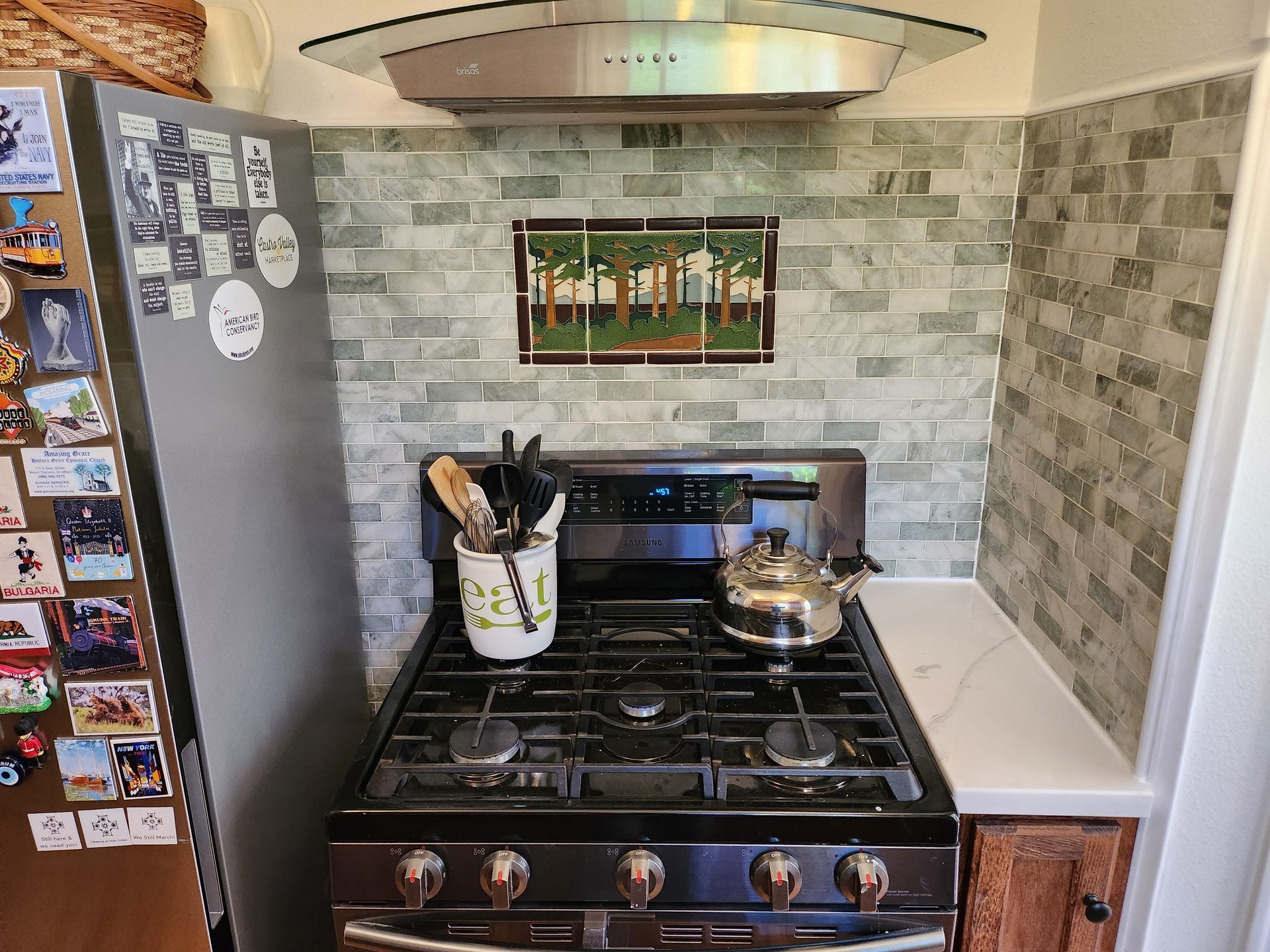 A kitchen with a stove and a refrigerator.