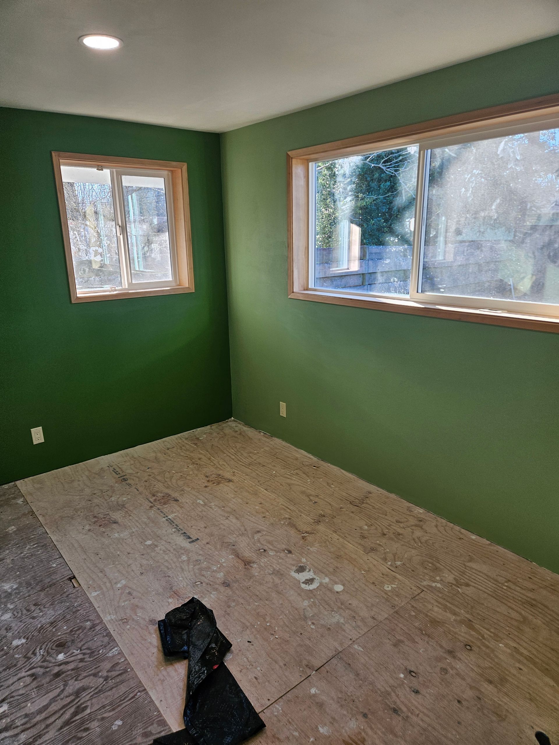 An empty room with green walls and two windows.