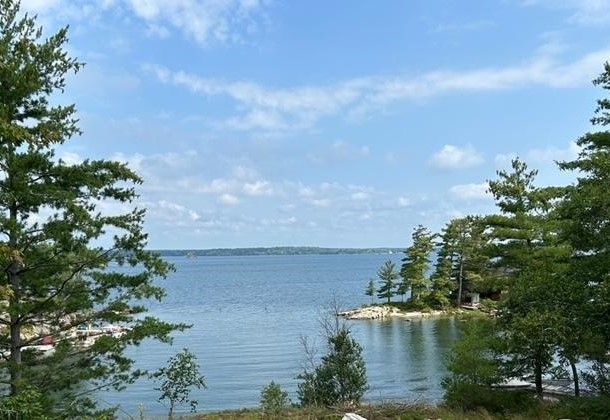 A large body of water surrounded by trees on a sunny day