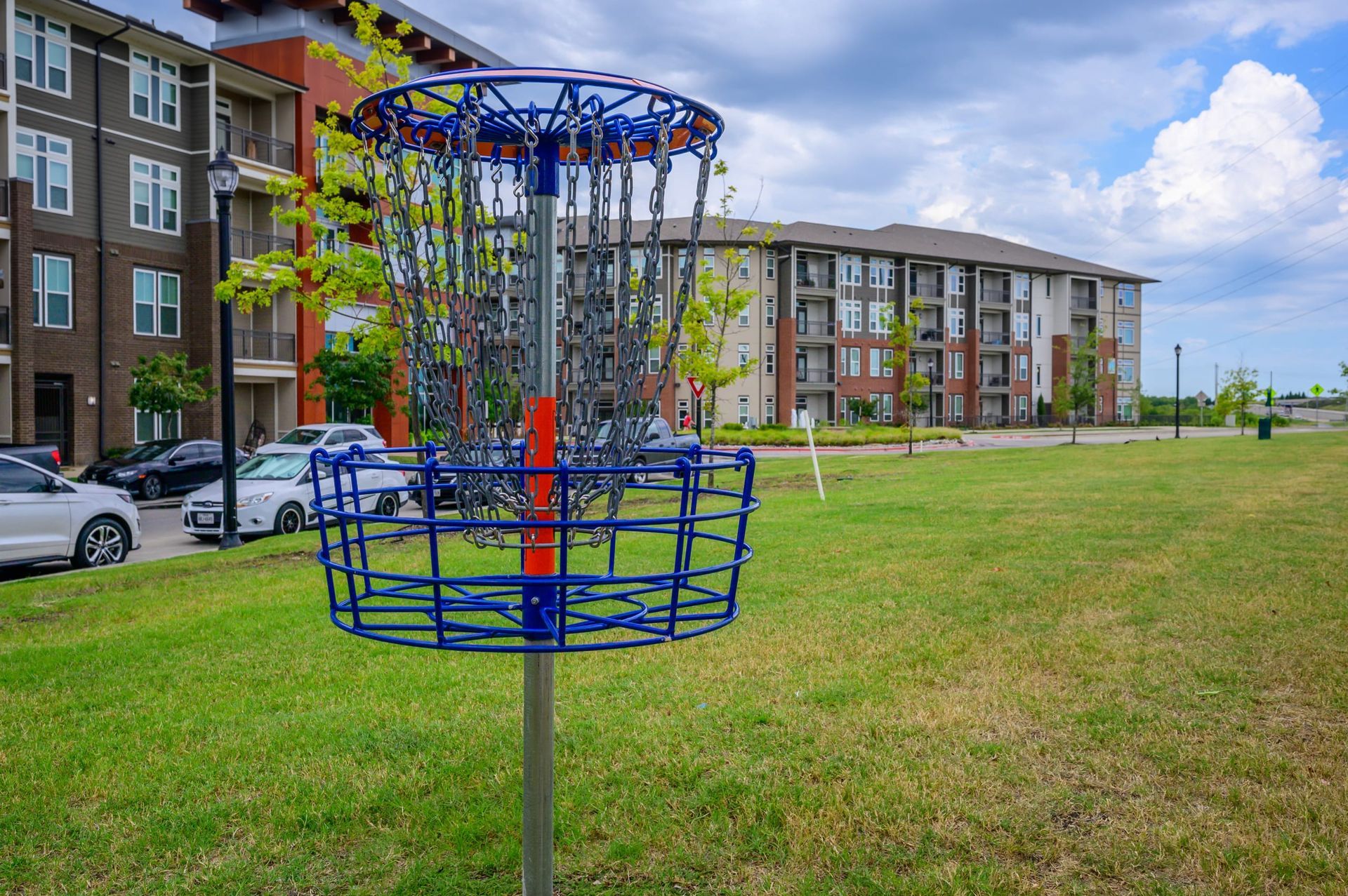 Frisbee at Harmony Luxury Apartments in Rowlett, TX.
