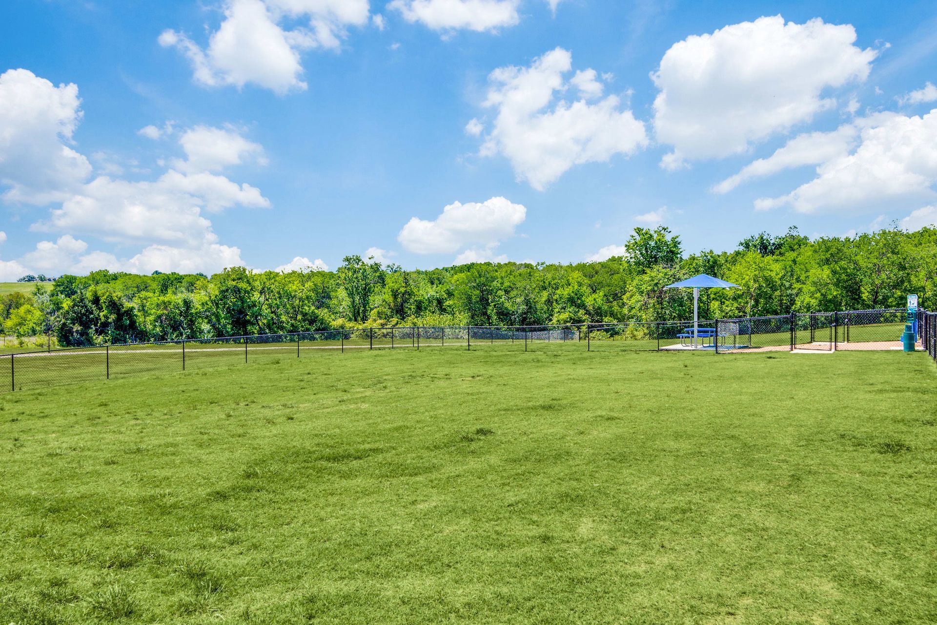 Dog park at Harmony Luxury Apartments in Rowlett, TX.