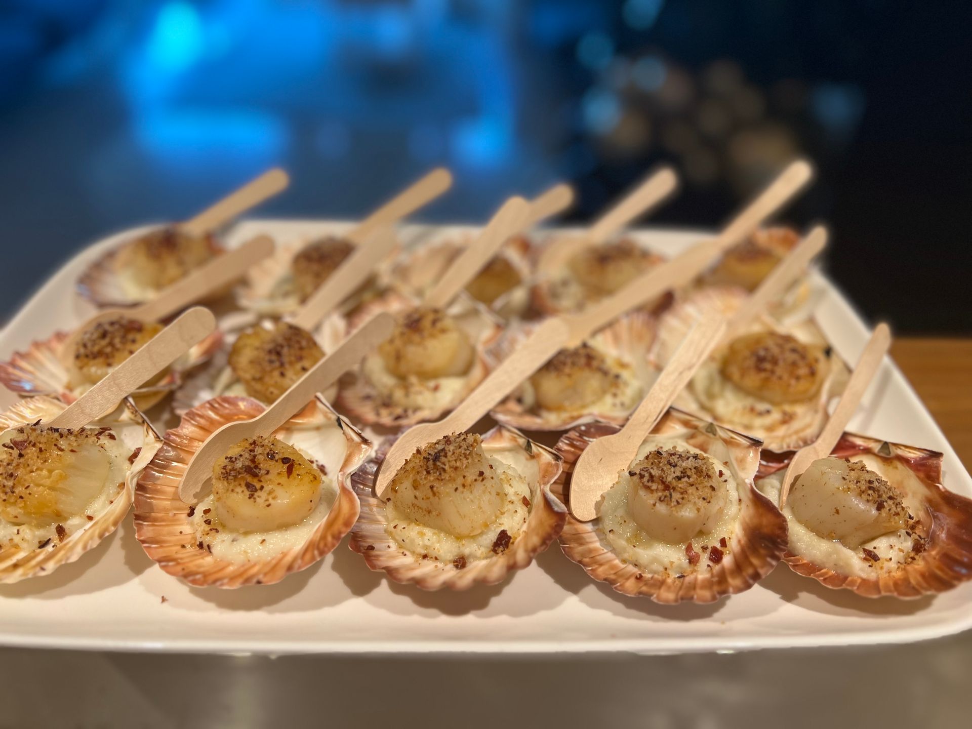 A tray of scallops served within shells — Coastal Catering in North Avoca, NSW