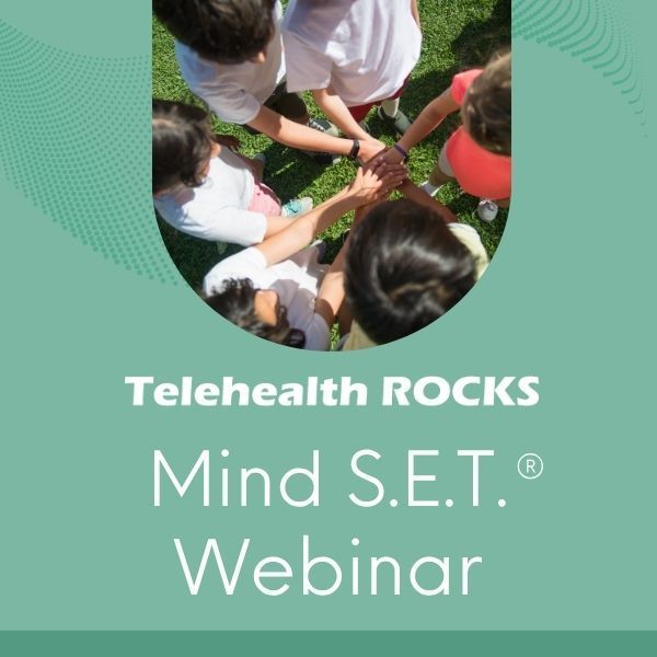 Mind S.E.T. webinar