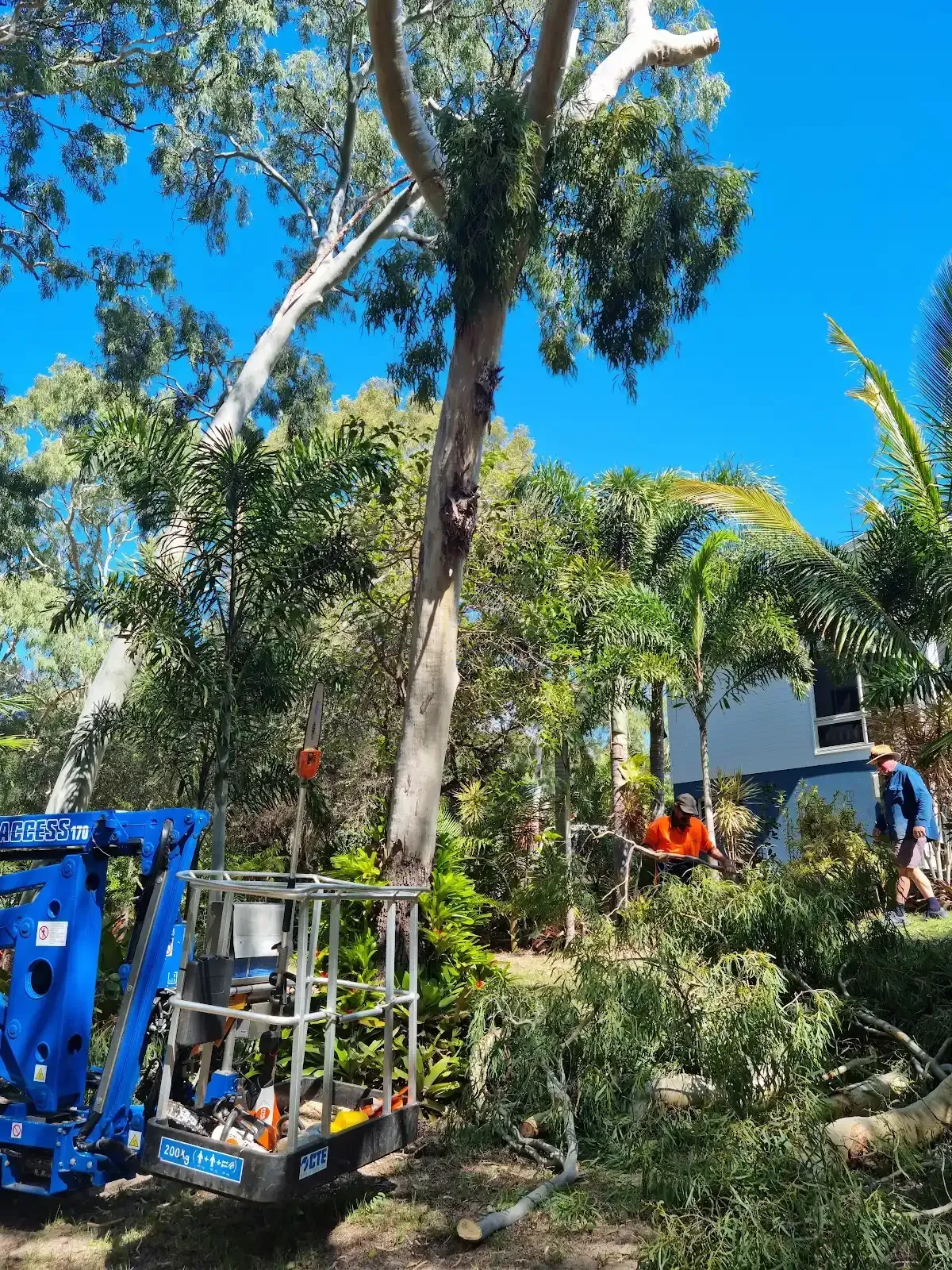A large tree branch is laying on the ground in front of a house.