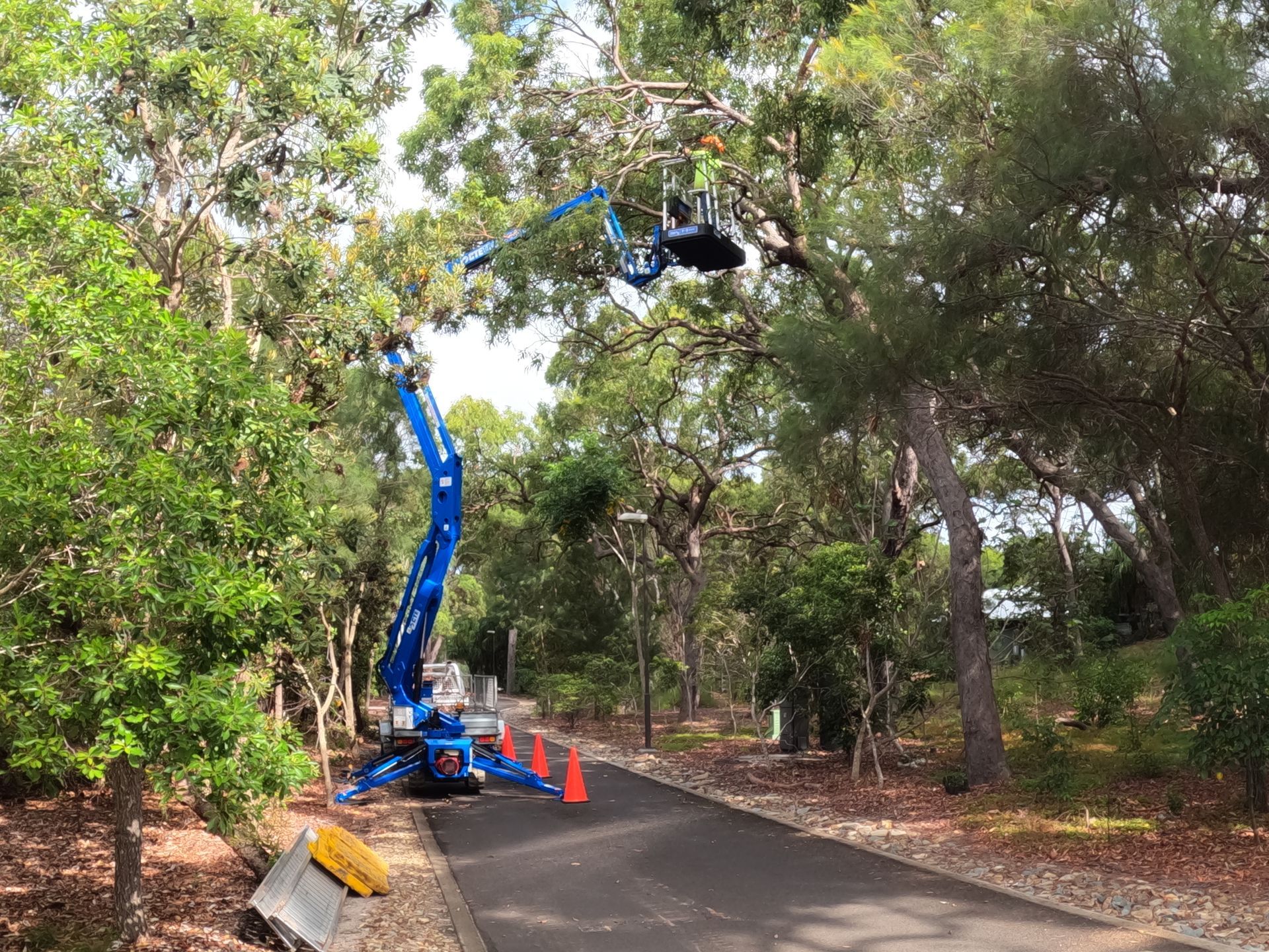 A person is cutting a tree branch with scissors.