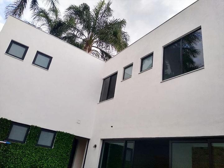 Edificio blanco con ventanas de marco oscuro; vegetación verde en una pared, palmera visible arriba.