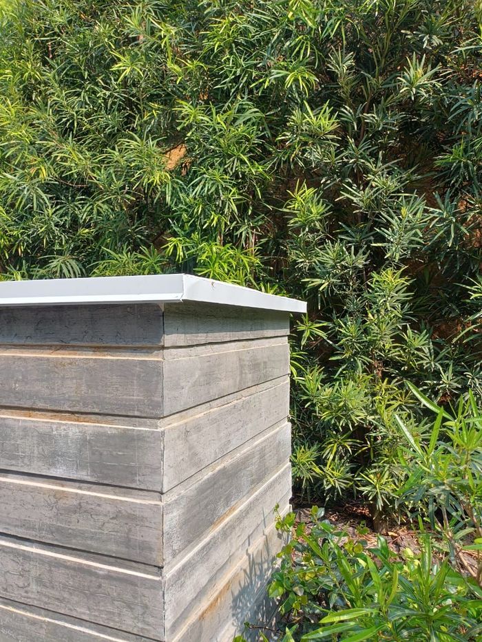 Bloques grises apilados con una capa superior blanca, junto a un frondoso arbusto verde.