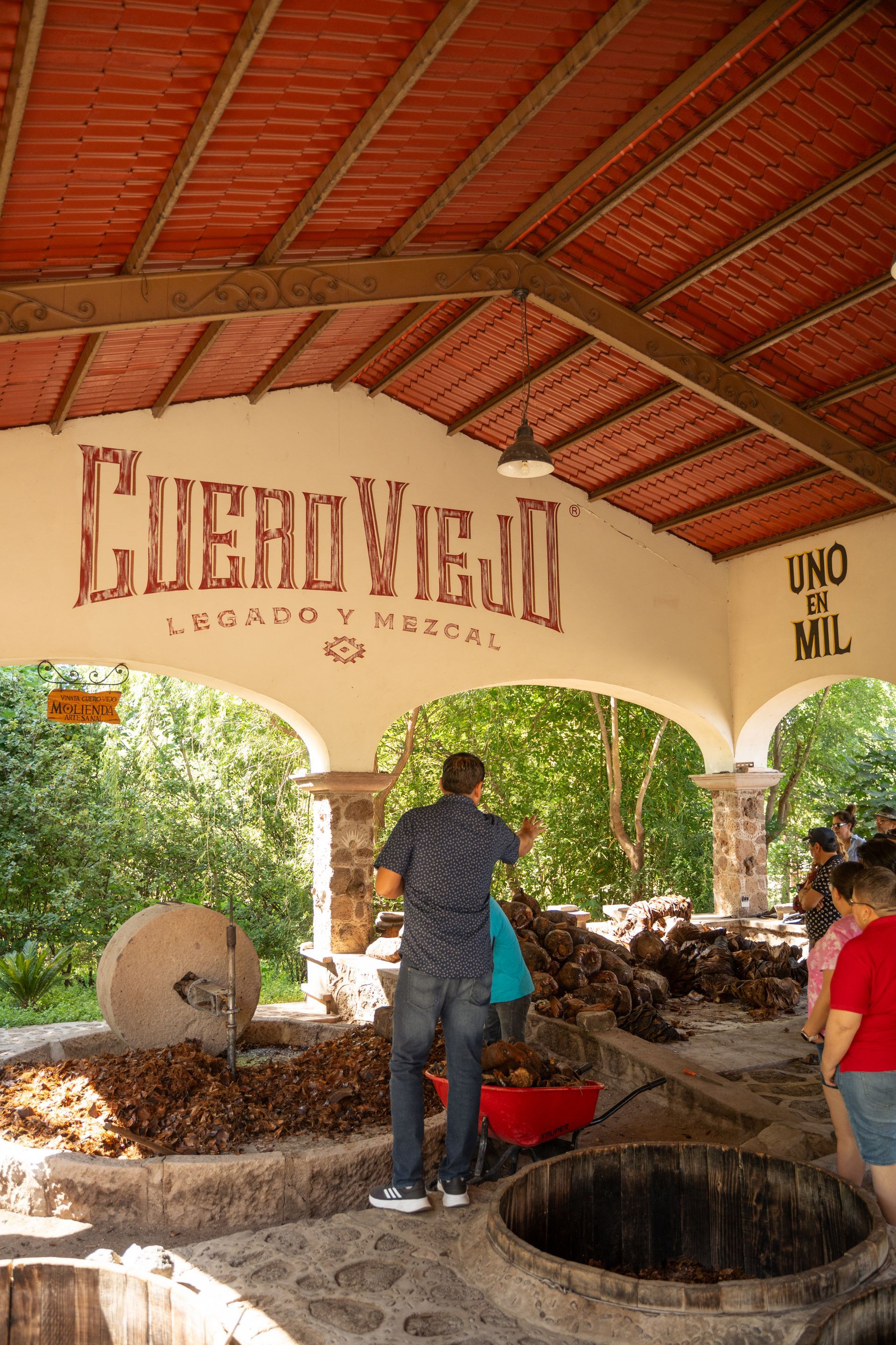 Man at Cuero Viejo sign, tequila distillery, agave harvest site.