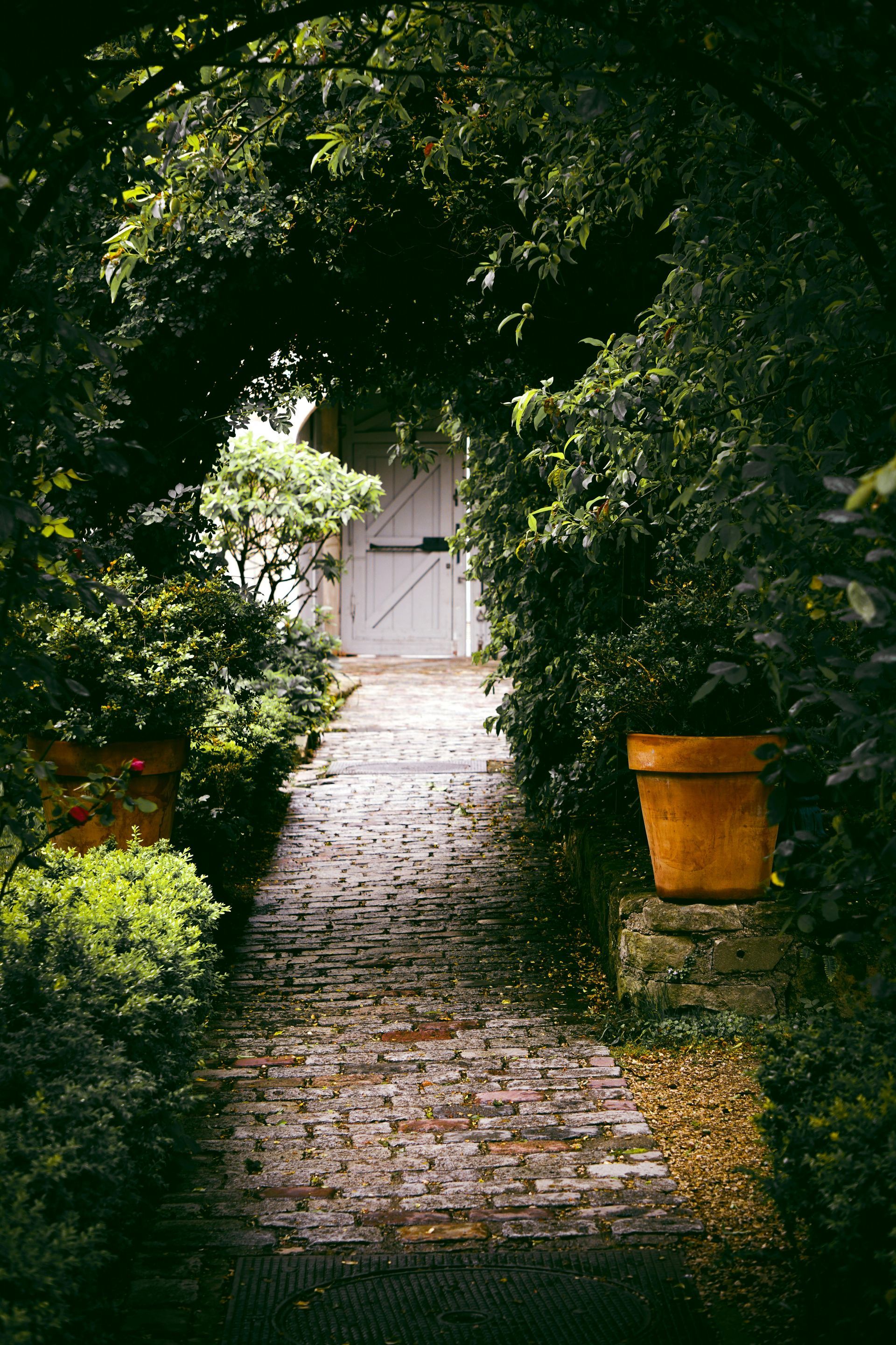 brick paver framed by lush green foliage and large terracotta pots.