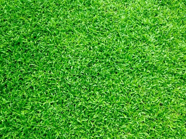 Artificial grass installation Tempe AZ backyard