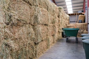 A large stack of hay bales inside a barn; a green wheelbarrow sits nearby — Farm and Home in Nabiac, NSW