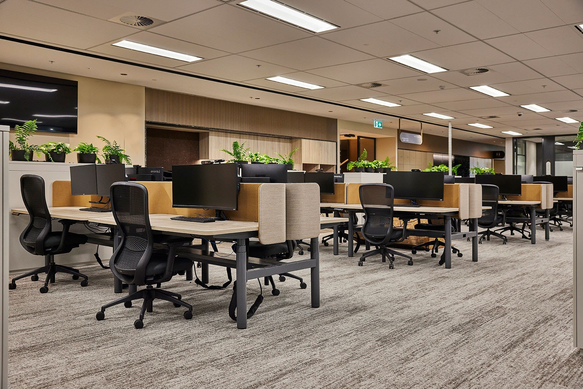 Open-plan office with rows of desks, black chairs, and tan partitions under bright ceiling lights.