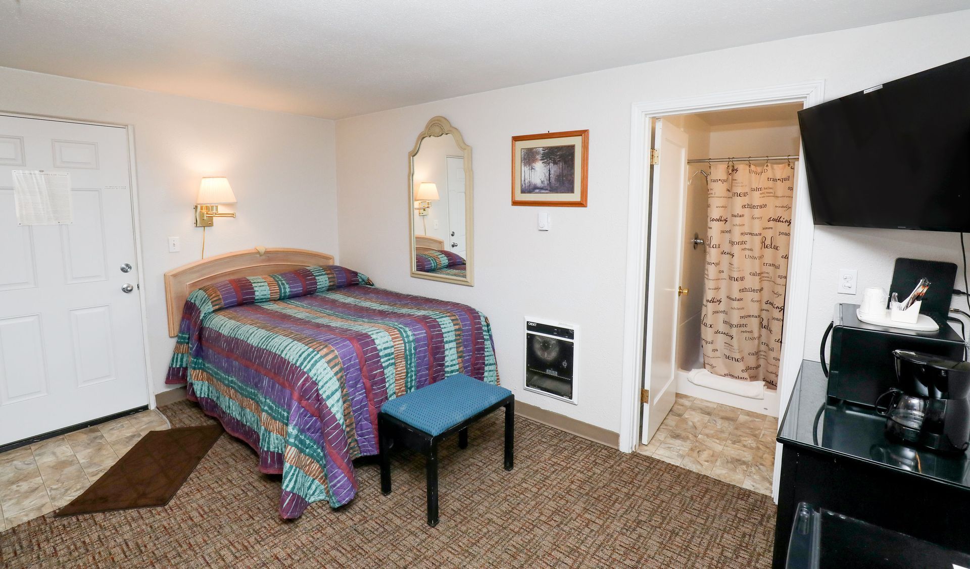 A hotel room with a bed , television , microwave , and shower.