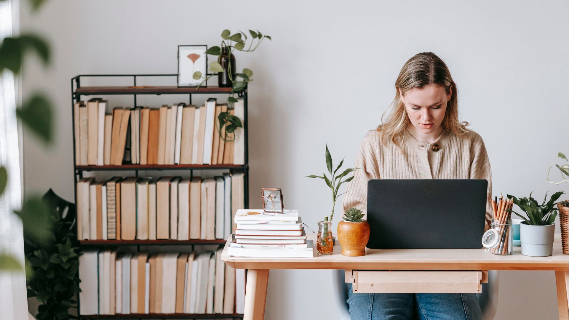 Company Setup Basics
