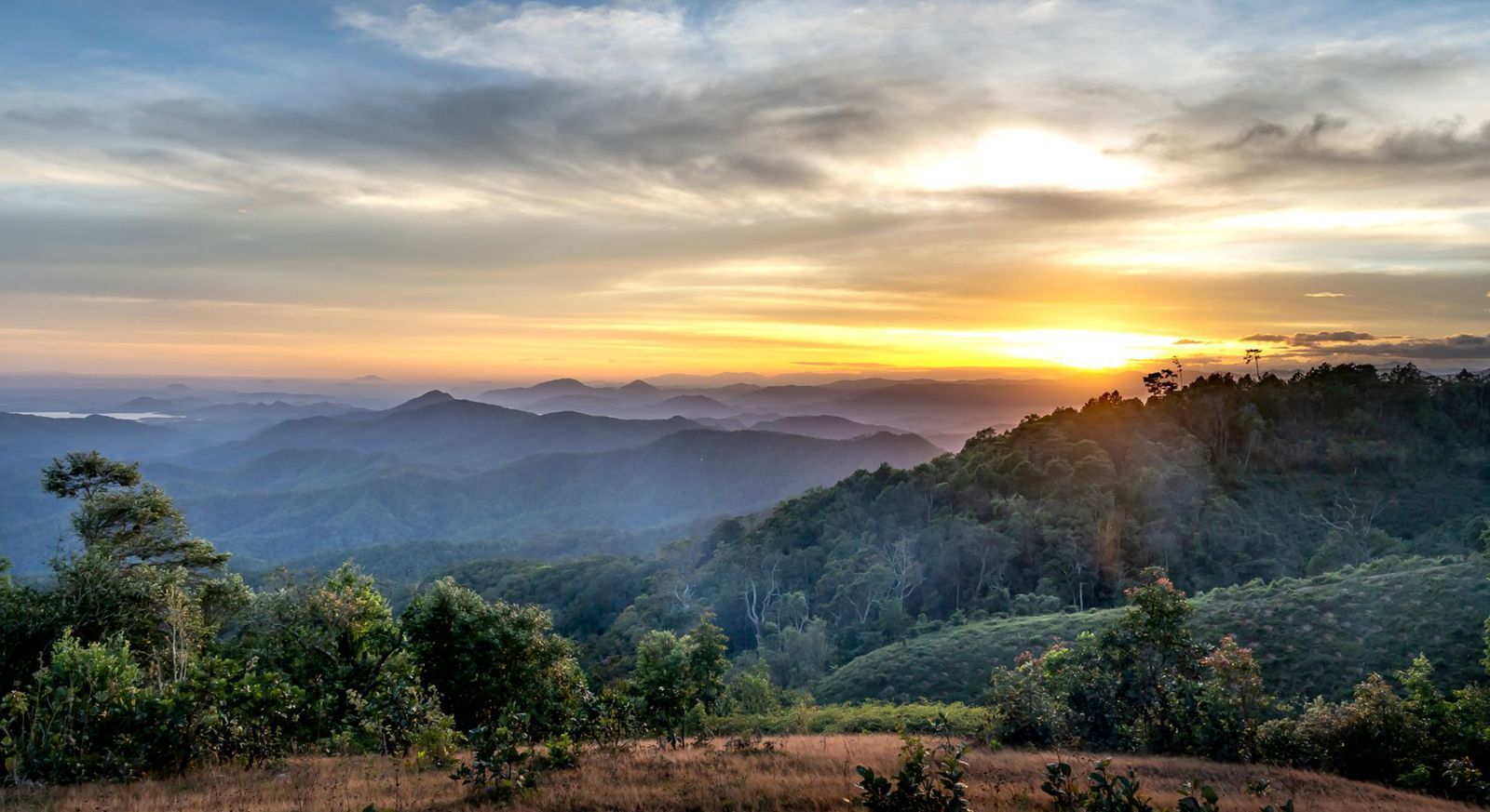 weaverville nc homes for sale