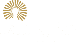 real estate agency 
