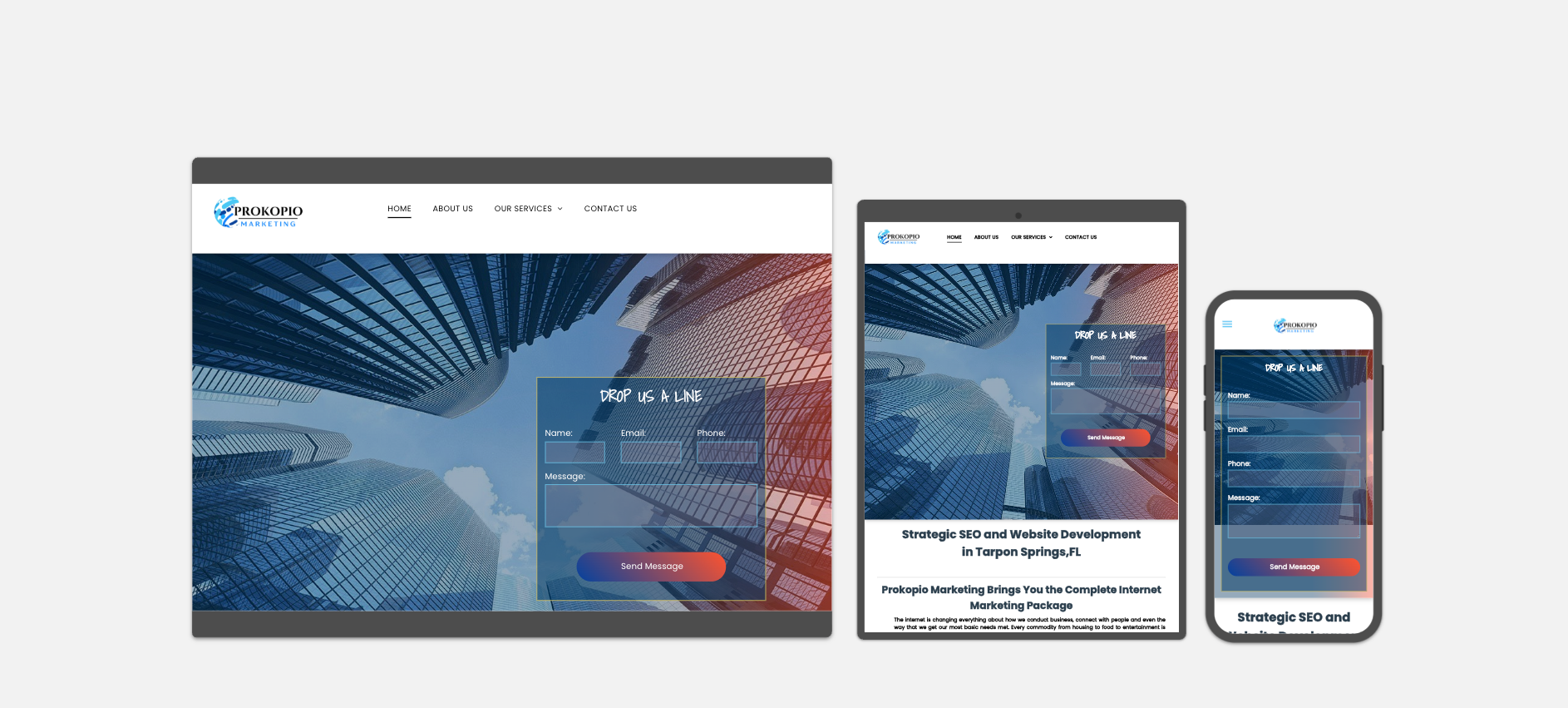 marketing website with lead capture form tarpon springs