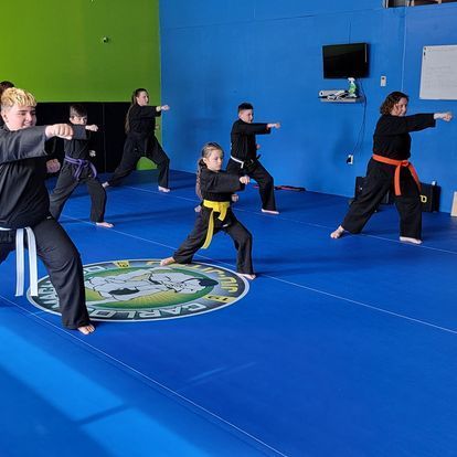 a group of people are practicing martial arts on a blue mat in a gym .