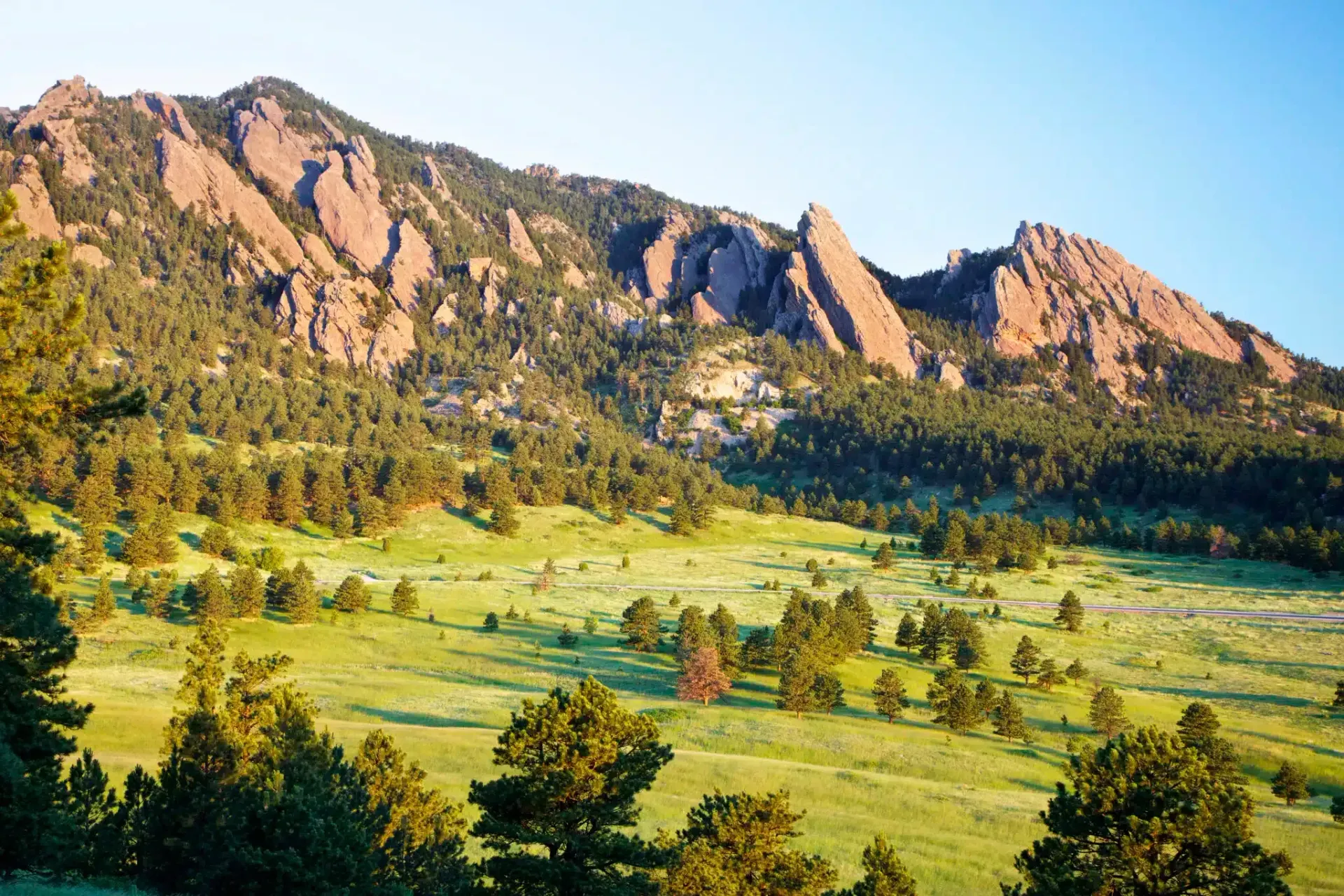 Green hillside with scattered trees, leading to rocky, brown mountain peaks under a blue sky.