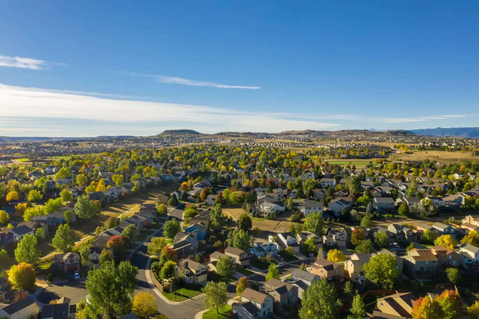 Aerial view of a residential neighborhood with houses, green trees, and blue sky.