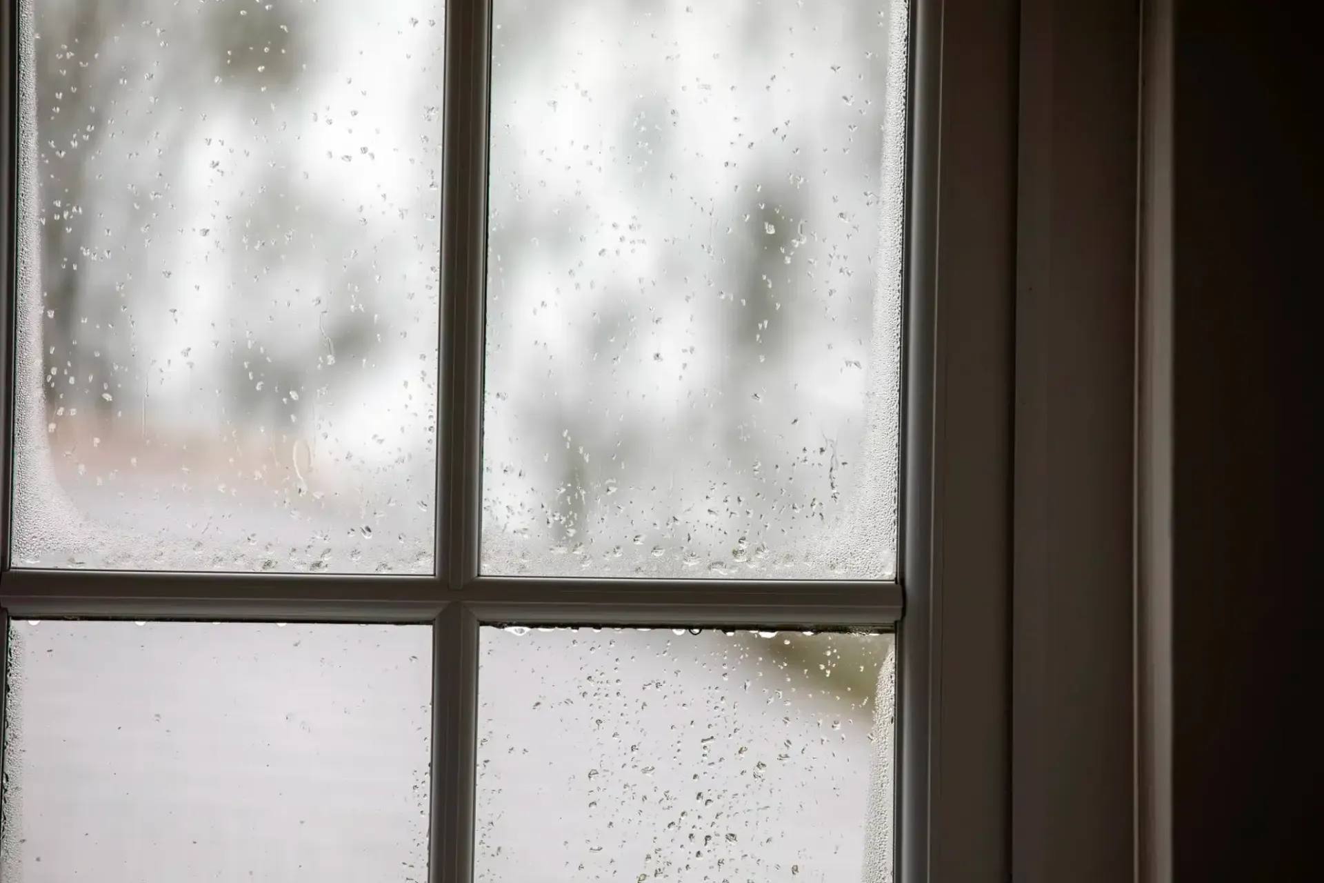 Close-up of a multi-pane window with condensation; blurry outdoor view.