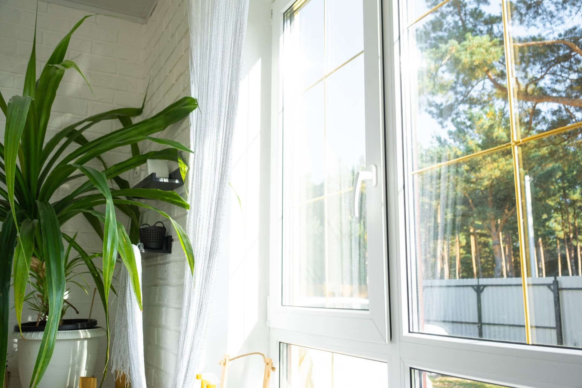 Bright room with large window, a potted green plant to the left. Sunlight streams in.