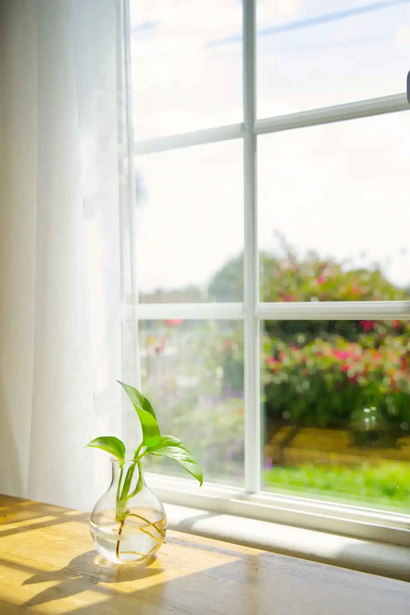 Plant in a glass vase on a wooden surface by a sunny window with a garden view.