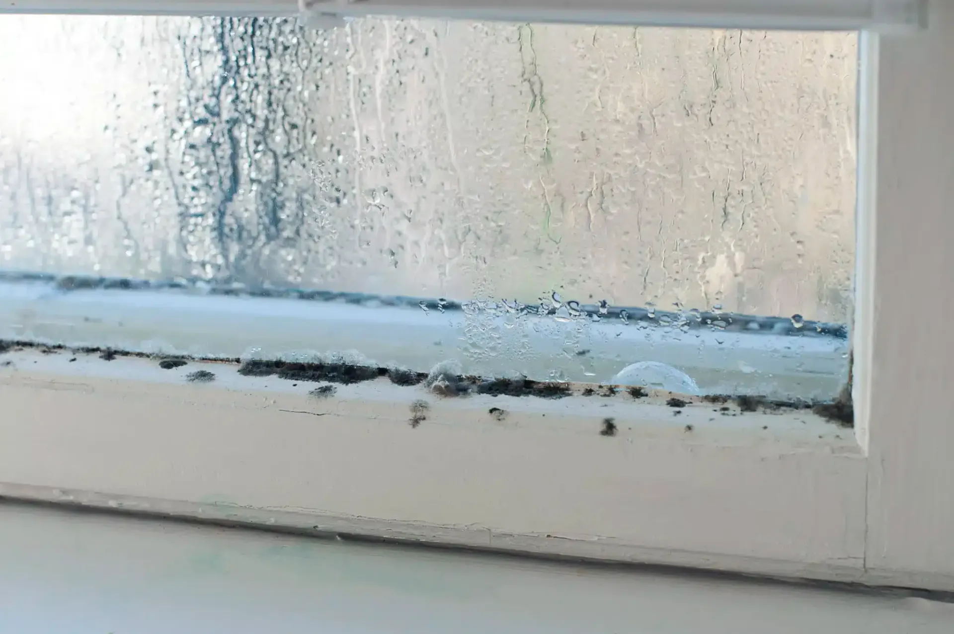 Condensation and black mold on a white window frame.