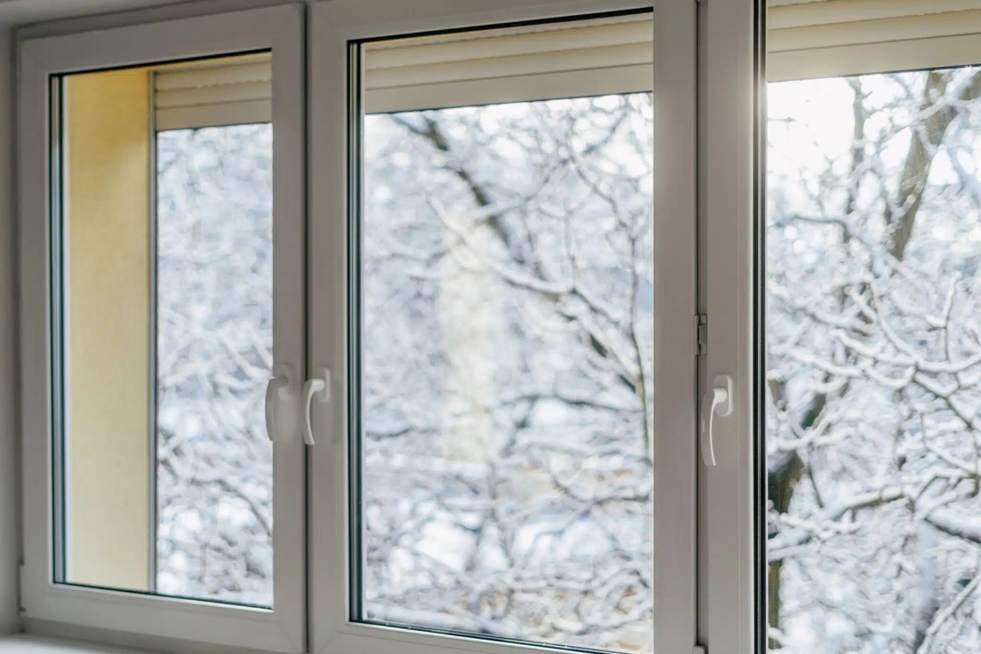 Three white-framed windows with a snowy tree visible through the panes, interior view.