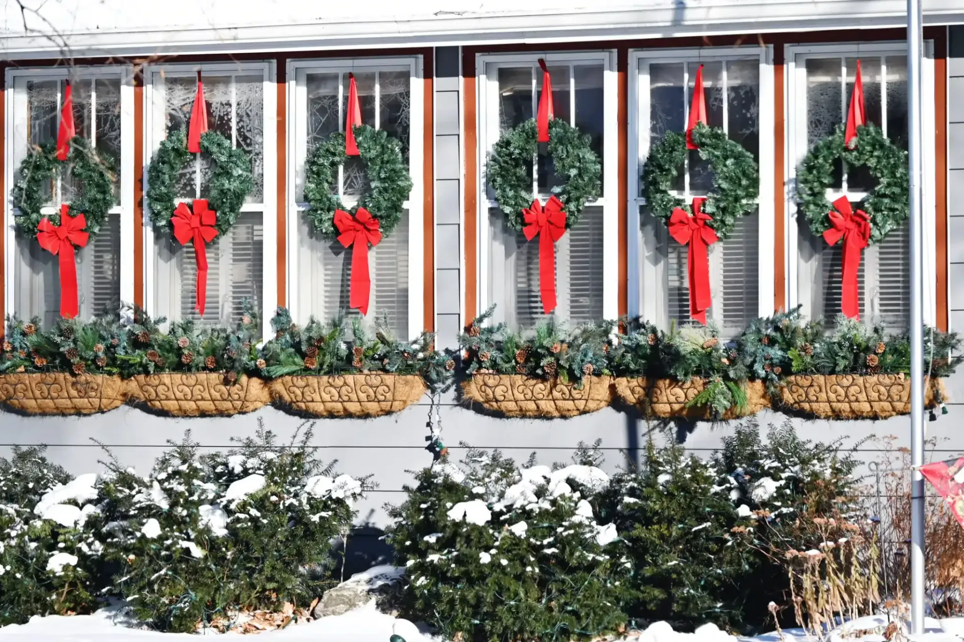 Windows decorated with wreaths and red bows, above snow-covered bushes, for Christmas.