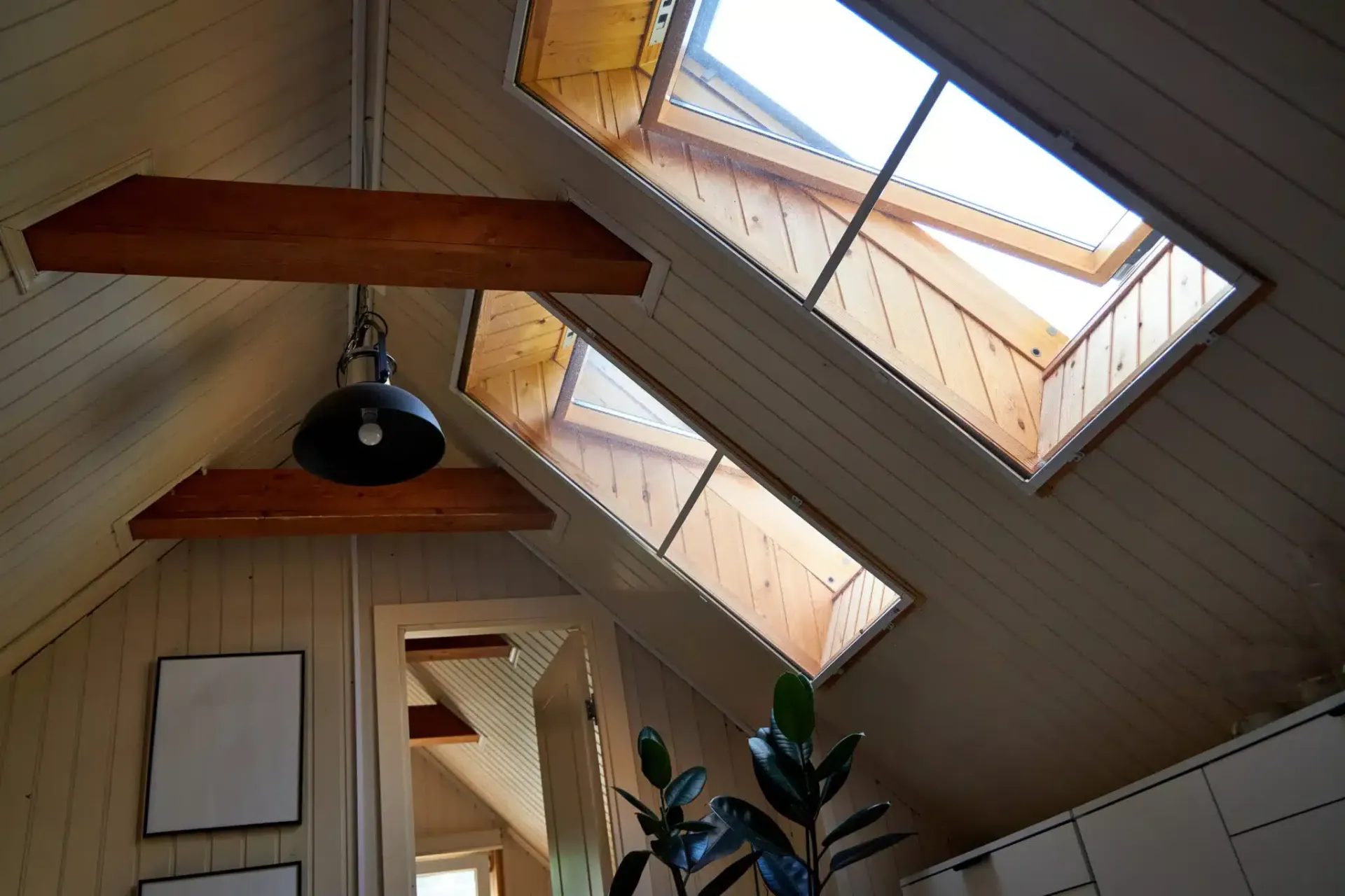 Interior with skylights, wooden beams, and a hanging light fixture. Plant in the foreground.