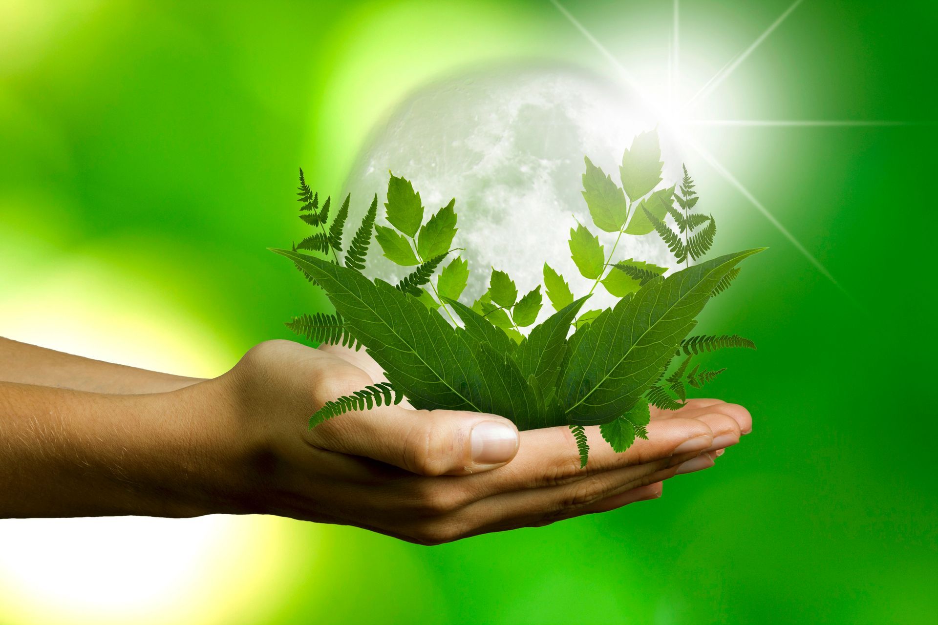 Mani che tengono un globo con foglie verdi; luce intensa.