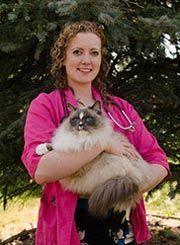 Dr. Nelson — Animal Clinic in Loveland, CO