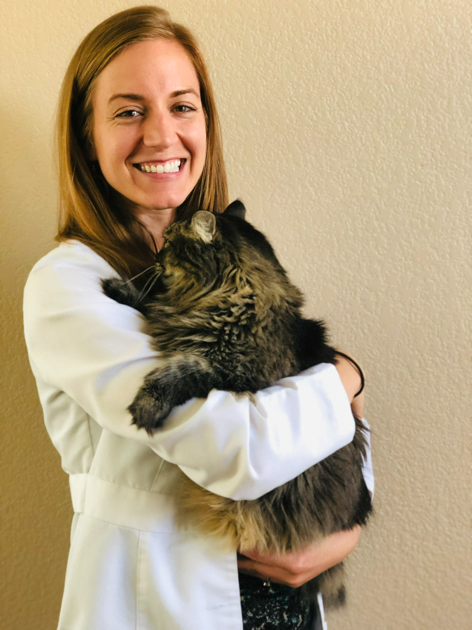 Dr. Melissa Hawley — Animal Clinic in Loveland, CO