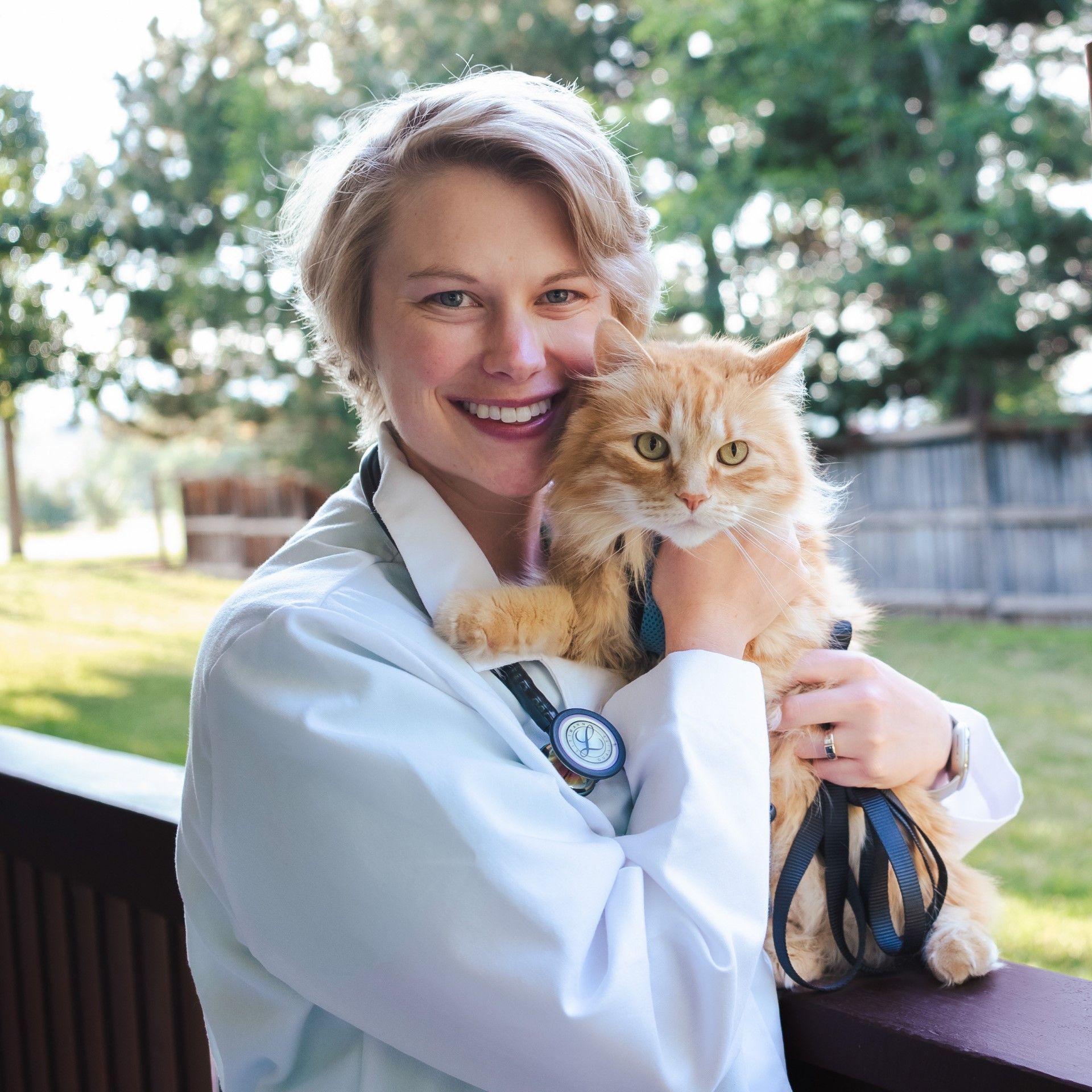 Dr. McKenzie Gibson — Animal Clinic in Loveland, CO