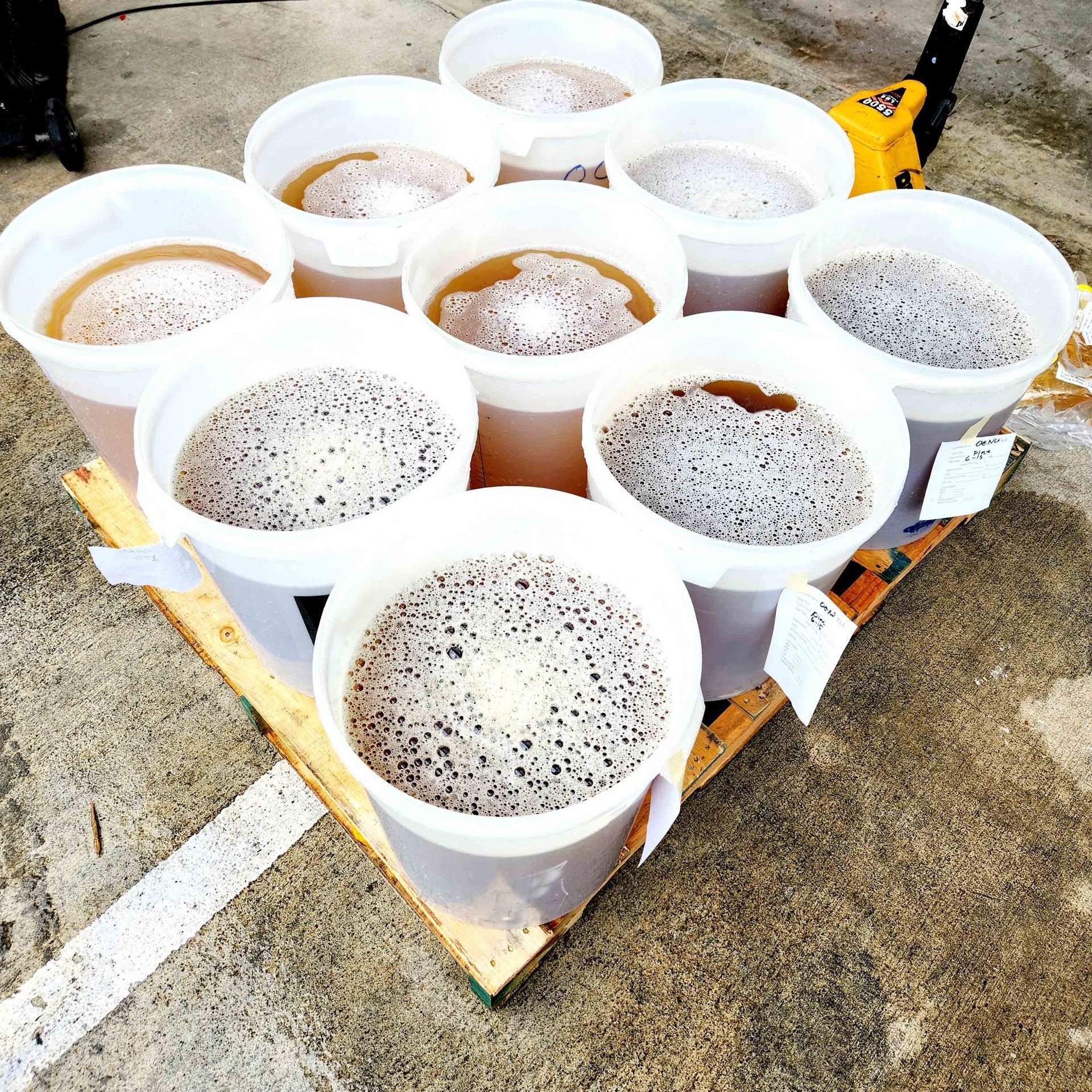 Bunch of Plastic Cups Filled With Drinks | Kailua, HI | Oeno Winemaking