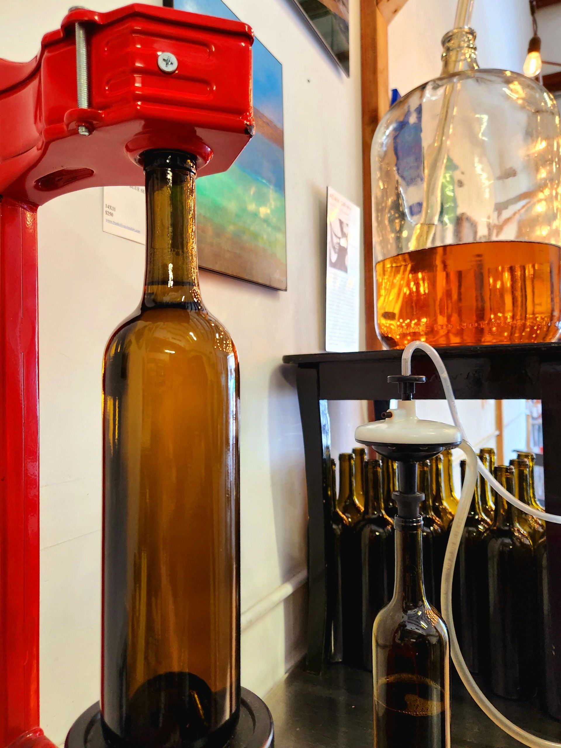 Bottle of Beer is Being Poured Into a Glass Bottle | Kailua, HI | Oeno Winemaking