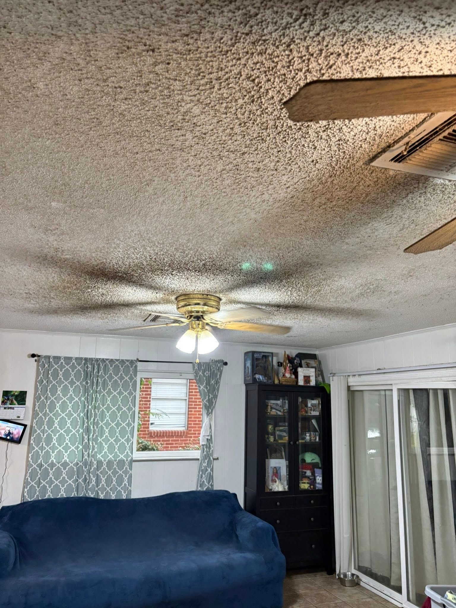 Living room with a blue couch, curtains, and a popcorn ceiling with fan.